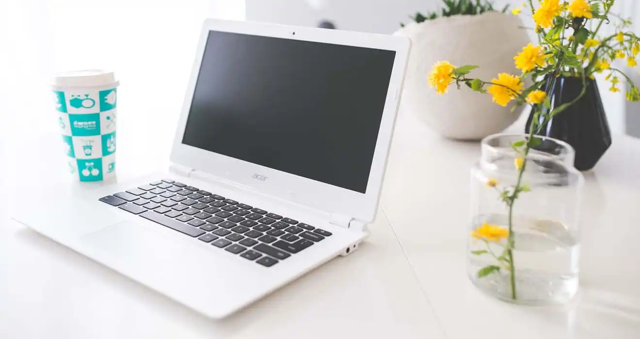 Ремонт ноутбуков Acer в Рузаевке